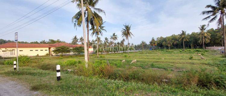 Tanah Dijual Cepat Dan Murah Di Kebumen  Jawa Tengah 1