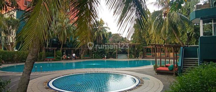 Apartemen Green View 2 Kamar Tidur Dijual Bawah NJOP 1