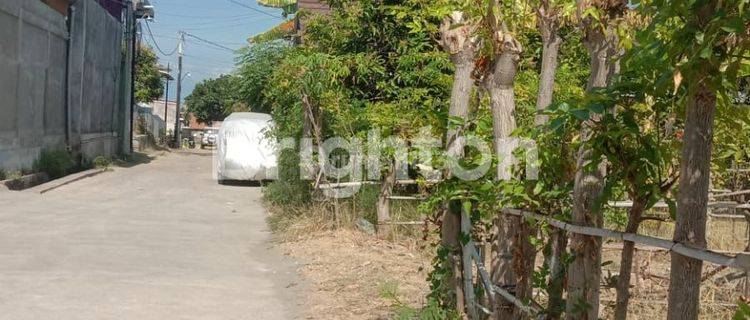 TANAH KAVLING DI JL JALAK PUTIH BALI 1