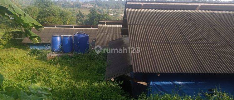 Dijual Farm Ex Ayam Petelur Beserta Fasilitas Nya Di Desa Nagrak, Cibadak, Sukabumi 1
