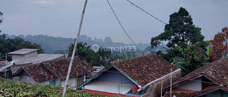 Tanah Murah Cihanjuang Dekat Stikes Rajawali 1