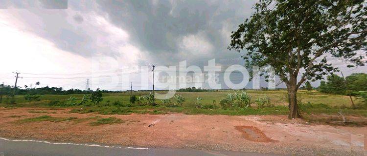 Tanah Murah di Jl Gubernur Kalimantan Selatan 1