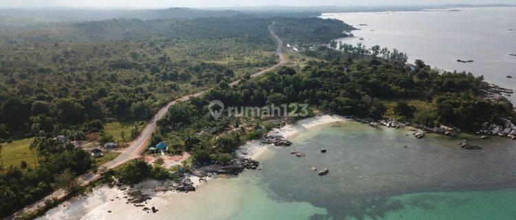 Tanah Luas Dijual di Pulau Bintan Kepulauan Riau 1