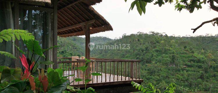 Land and Buildings Ex. Villa Compound in Sebatu, Tegallalang Ubud 1