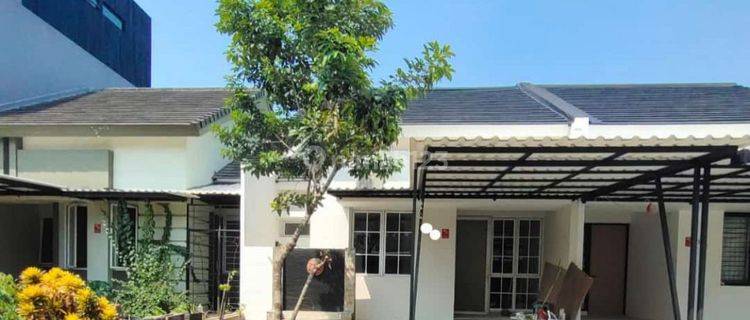 Dijual Murah Rumah Sevilla Bsd Baru Renov 1