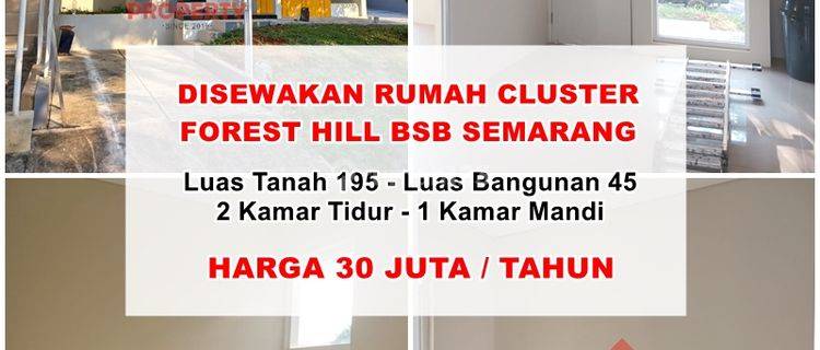 Disewakan Rumah Cluster Forest Hill Bsb City Semarang 1