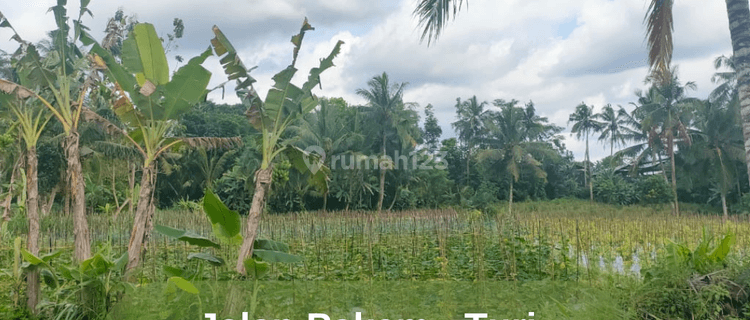 Tanah Dijual di Jalan Pakem Turi Cocok Untuk di Beli 1