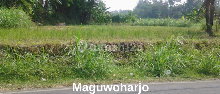 Tanah Pekarangan Strategis Dekat Pemancingan Kadisoka 3 Jutaan  1