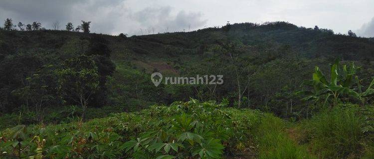 Tanah Satu Hamparan View Bagus, Datar di Sukabumi. 20420  1