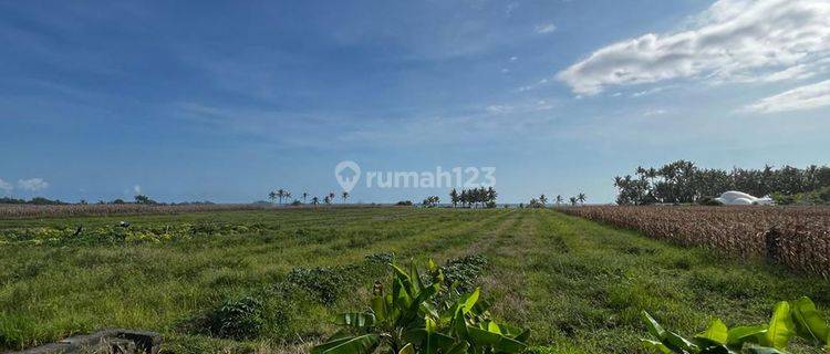 Amazing Freehold Land 600 Meters To The Beach Pasut, Tabanan 2199l 1