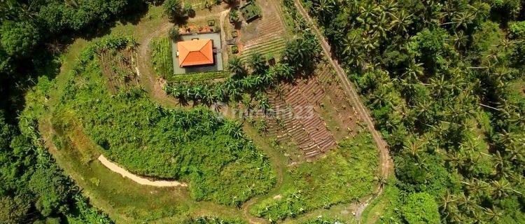 Prime Investment Potential 2,5 Hectare For Glamping Business With Scenic Views Near Balian Beach, Tabanan 2575 L 1