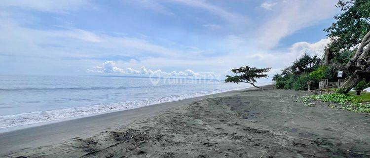 Exclusive 50 Are Freehold Beachfront Land In Jembrana 2654 L 1