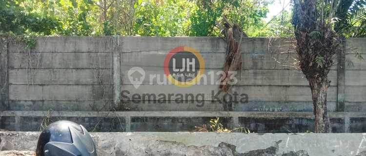 Kavling di jalan Raden Patah 1