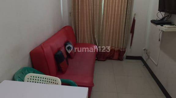 Apartemen Sky Terrace Unit Spesial 1 Kamar Tidur Bagus Furnished 1