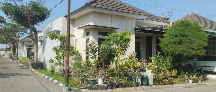 Rumah Cluster Bagus Tanah Luas Akses Lebar Lingkungan Aman dan Nyaman 1