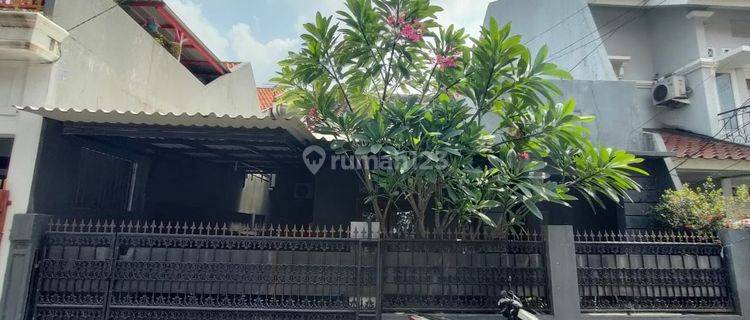 Rumah 1,5 Lantai Bebas Banjir Di Pondok Bambu,Jakarta Timur
 1