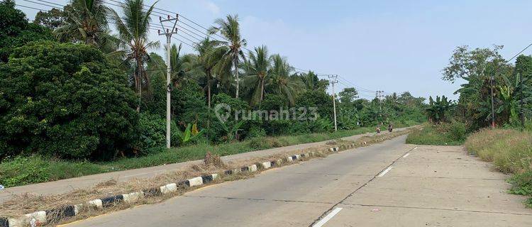 Dijual Cepat Tanah Siap Pakai Di Anyer Serang Banten 1