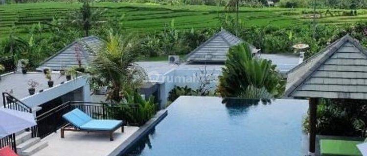 Villa View Sawah Buduk Mengwi Badung 1