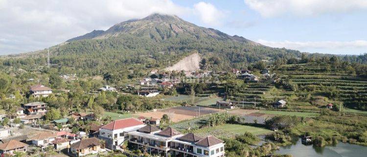 Resort Los Danau Gunung Batur Kintamani Bangli Bali 1