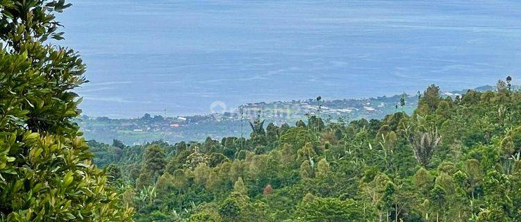 Tanah Full View Pantai Lovina Bangkiang Sidem Buleleng 1