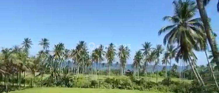 Tanah Ocean View Pantai Balian Selemadeg Barat Tabanan Bali 1