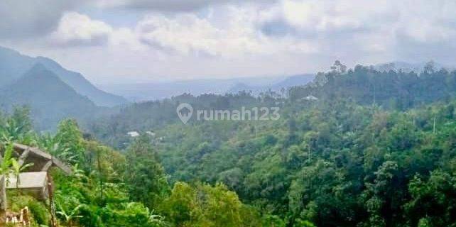 Tanah View Pegunungan Sukasada Buleleng Bali 1