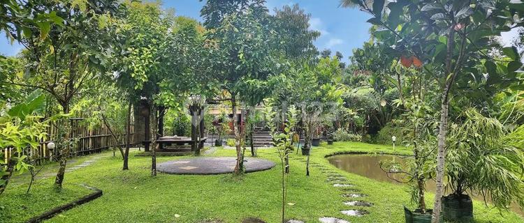 Villa View Rice Fields & Mountain Marga Baturiti Tabanan 1