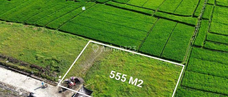 Tanah View Sawah Pantai Kedungu Kediri Tabanan Bali 1