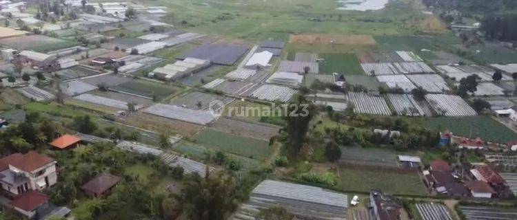 Tanah View Danau Pancasari Bedugul Buleleng Bali 1