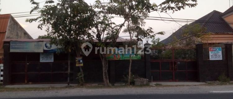 Dijual Tempat Usaha N Gudang Raya Kapas Bojonegoro Nol Jalan Raya 1