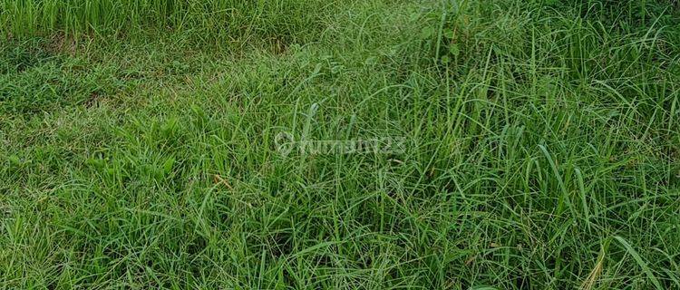 Tanah Bagus di Maros cocok utk Gudang 1