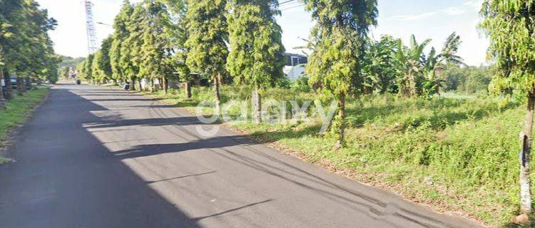 JUAL TANAH NOL JALAN SINGOSARI MALANG 1