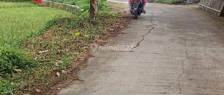 Tanah ,Sawah Produktif JL. DsTambak Sari Situ Cangkuang  Leles Garut 1