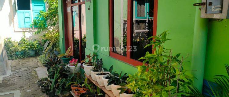 Rumah cocok utk guest house di jalan Ireda yogya 1