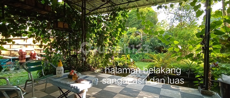 Ready-to-Occupy House with Full Garden at the Back in Mediterania Sentul 1