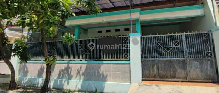 Rumah Super Murah Tenggilis Ubaya Surabaya Dkt Jemursari Nginden 1