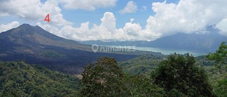 Dijual tanah penelokan kintamani Bangli  1