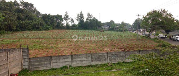 Tanah SHM Pinggir Jalan Raya Serang Pandeglang 1