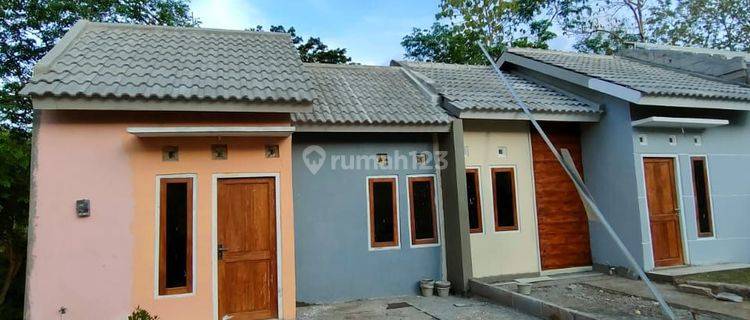 Rumah Minimalis Sederhana  1