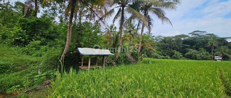 Jual Tanah Ciamis Harga Tanah Permeter Mulai Dari Rp 19 Ribu/m² 1