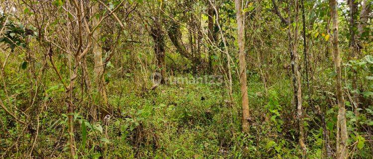 Jual Tanah di Ciamis, 22 Rb Permeter Luas 2 Ha Dekat Sumber Air 1