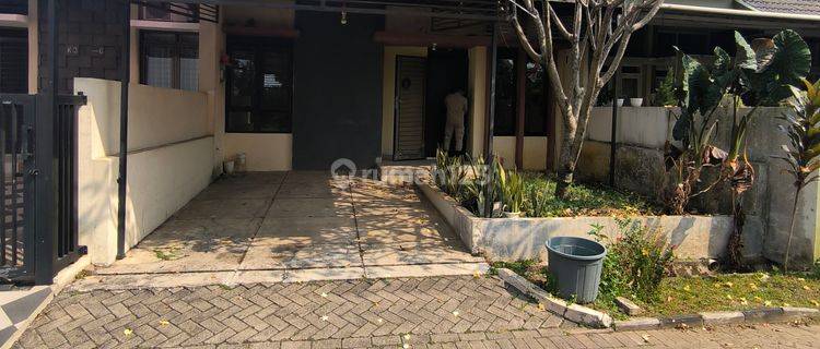 Rumah Kontrakan Di Kemang Indah Regency Bagus 1