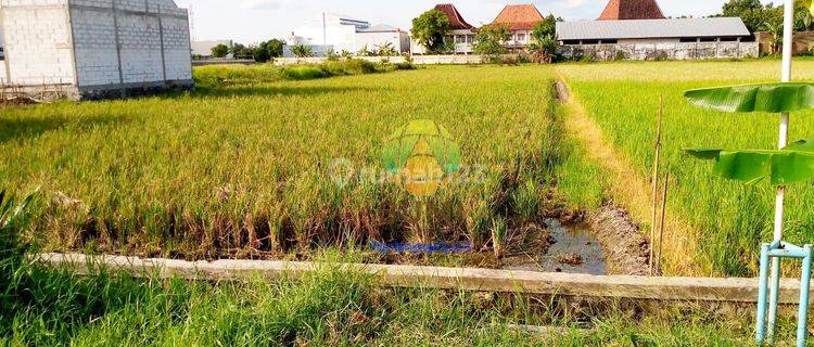 Tanah Murah Dekat Pemkab Sukoharjo 1