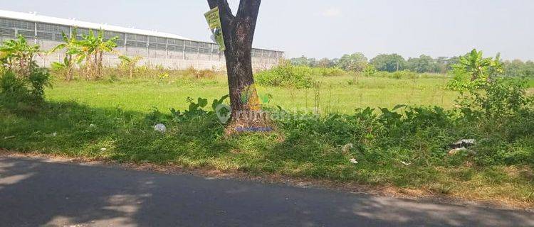 Tanah Zona Merah Luas 3300 di Tasikmadu, Karanganyar 1