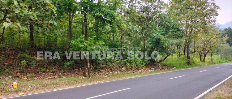 Tanah Zona Kuning Wuryantoro 1
