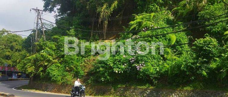 TANAH MAIN ROAD UNBLOCKED VIEW DI SINGARAJA, DENPASAR - BALI 1