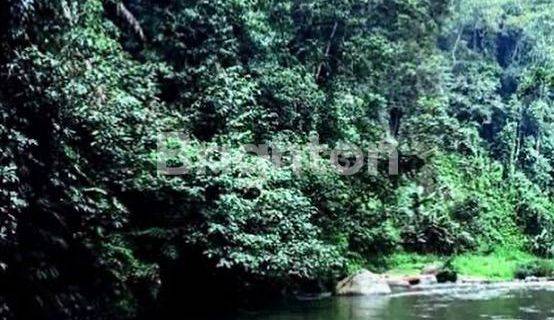 LAHAN RIVERSIDE DENGAN EXOTIC JUNGLE VIEW DI KELUSA - UBUD, BALI 1