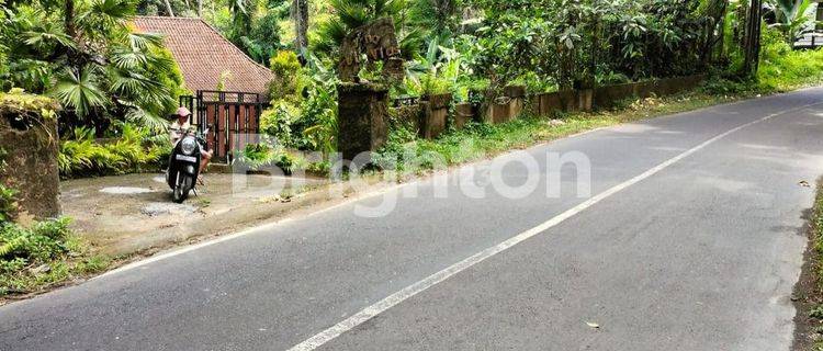 LAHAN DENGAN VIEW CAKEP DI PEJENG AJI - UBUD, GIANYAR - BALI 1