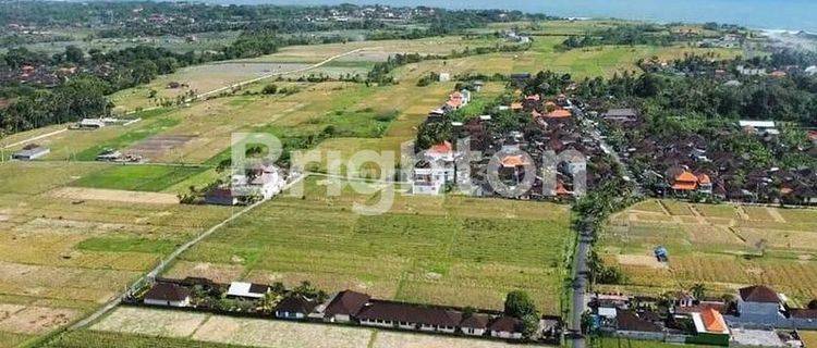 LAHAN LANGKA DENGAN AKSES JALAN UTAMA PANTAI KEDUNGU, TABANAN - BALI 1