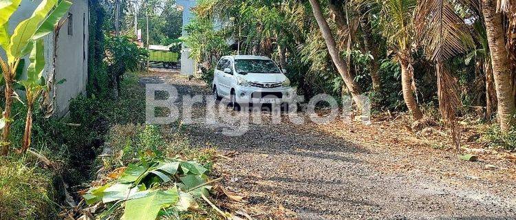 LAHAN BAGUS 60MT DARI JALAN UTAMA DI BLAHBATUH, GIANYAR - BALI 1